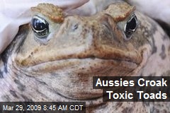 Aussies Croak Toxic Toads