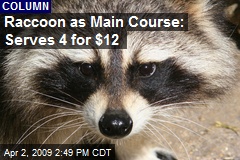 Raccoon as Main Course: Serves 4 for $12