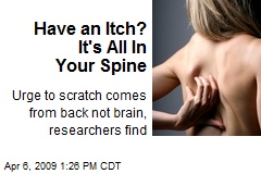 Have an Itch? It's All In Your Spine