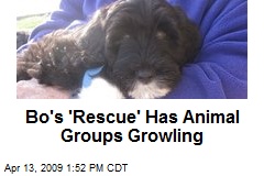 Bo's 'Rescue' Has Animal Groups Growling