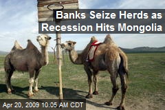 Banks Seize Herds as Recession Hits Mongolia