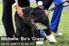 Michelle: Bo's 'Crazy'
