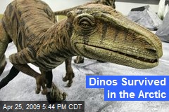 Dinos Survived in the Arctic