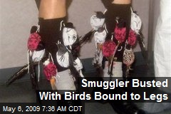 Smuggler Busted With Birds Bound to Legs