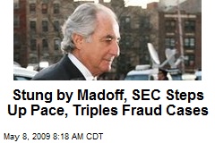 Stung by Madoff, SEC Steps Up Pace, Triples Fraud Cases