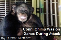Conn. Chimp Was on Xanax During Attack