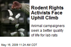 Rodent Rights Activists Face Uphill Climb