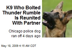 K9 Who Bolted Thunder Rumble Is Reunited With Partner