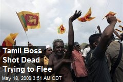 Tamil Boss Shot Dead Trying to Flee