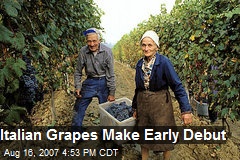 Italian Grapes Make Early Debut