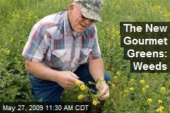 The New Gourmet Greens: Weeds