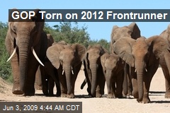GOP Torn on 2012 Frontrunner