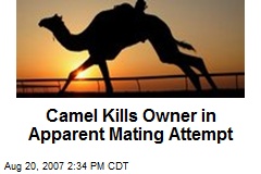 Camel Kills Owner in Apparent Mating Attempt