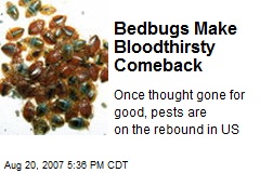 Bedbugs Make Bloodthirsty Comeback