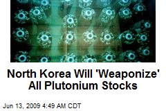 North Korea Will 'Weaponize' All Plutonium Stocks