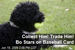 Collect Him! Trade Him! Bo Stars on Baseball Card