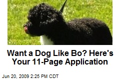Want a Dog Like Bo? Here's Your 11-Page Application