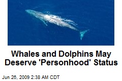 Whales and Dolphins May Deserve 'Personhood' Status