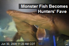 Monster Fish Becomes Hunters' Fave