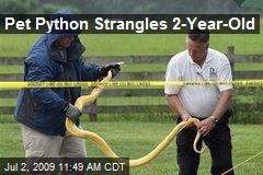 Pet Python Strangles 2-Year-Old
