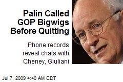 Palin Called GOP Bigwigs Before Quitting