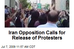 Iran Opposition Calls for Release of Protesters