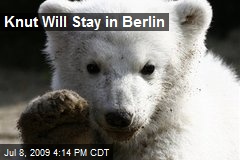 Knut Will Stay in Berlin