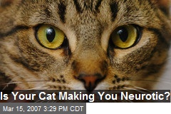 Is Your Cat Making You Neurotic?