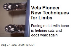 Vets Pioneer New Techniques for Limbs