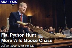 Fla. Python Hunt More Wild Goose Chase