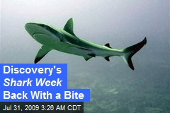 Discovery's Shark Week Back With a Bite