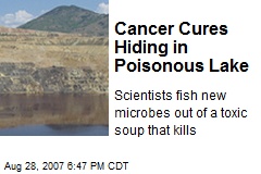 Cancer Cures Hiding in Poisonous Lake