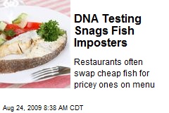 DNA Testing Snags Fish Imposters