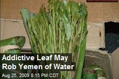 Addictive Leaf May Rob Yemen of Water