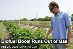Biofuel Boom Runs Out of Gas