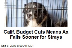 Calif. Budget Cuts Means Ax Falls Sooner for Strays