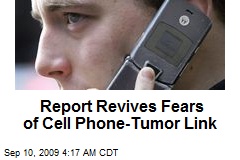 Report Revives Fears of Cell Phone-Tumor Link