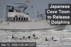 Japanese Cove Town to Release Dolphins
