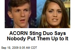 ACORN Sting Duo Says Nobody Put Them Up to It