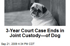 3-Year Court Case Ends in Joint Custody&mdash;of Dog