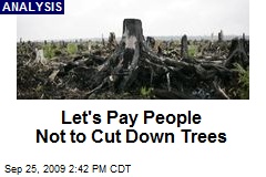 Let's Pay People Not to Cut Down Trees