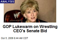 GOP Lukewarm on Wrestling CEO's Senate Bid