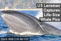 US Lensman Captures Life-Size Whale Pics