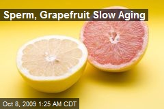 Sperm, Grapefruit Slow Aging