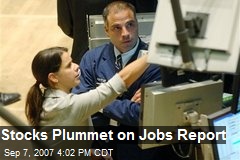 Stocks Plummet on Jobs Report