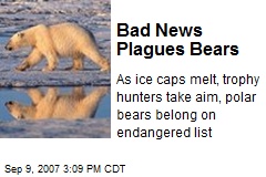 Bad News Plagues Bears