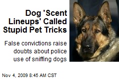 Dog 'Scent Lineups' Called Stupid Pet Tricks