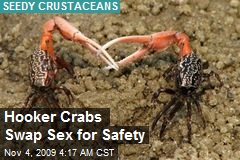 Hooker Crabs Swap Sex for Safety