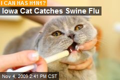 Iowa Cat Catches Swine Flu