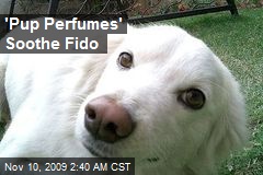 'Pup Perfumes' Soothe Fido